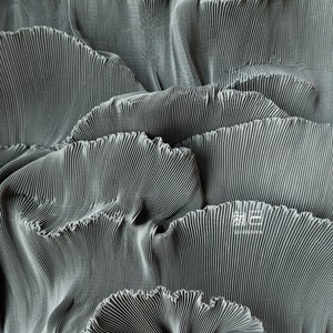59