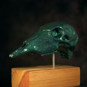 May include: A green ceramic animal skull on a wooden base. The skull is detailed and has a glossy finish.