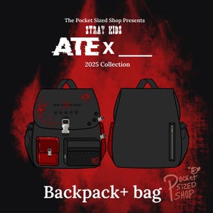 Taschengröße: Stray Kids „ATE x Hop“ inspirierte Tasche | Bleiben | Konzerttasche| Rucksack | Chk Chk Boom| DominATE