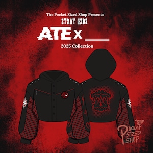 Straykids Dominate Hoodie - Etsy