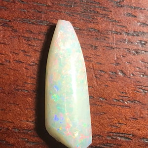 Coober Pedy Australien Opal Fossil Belemnit