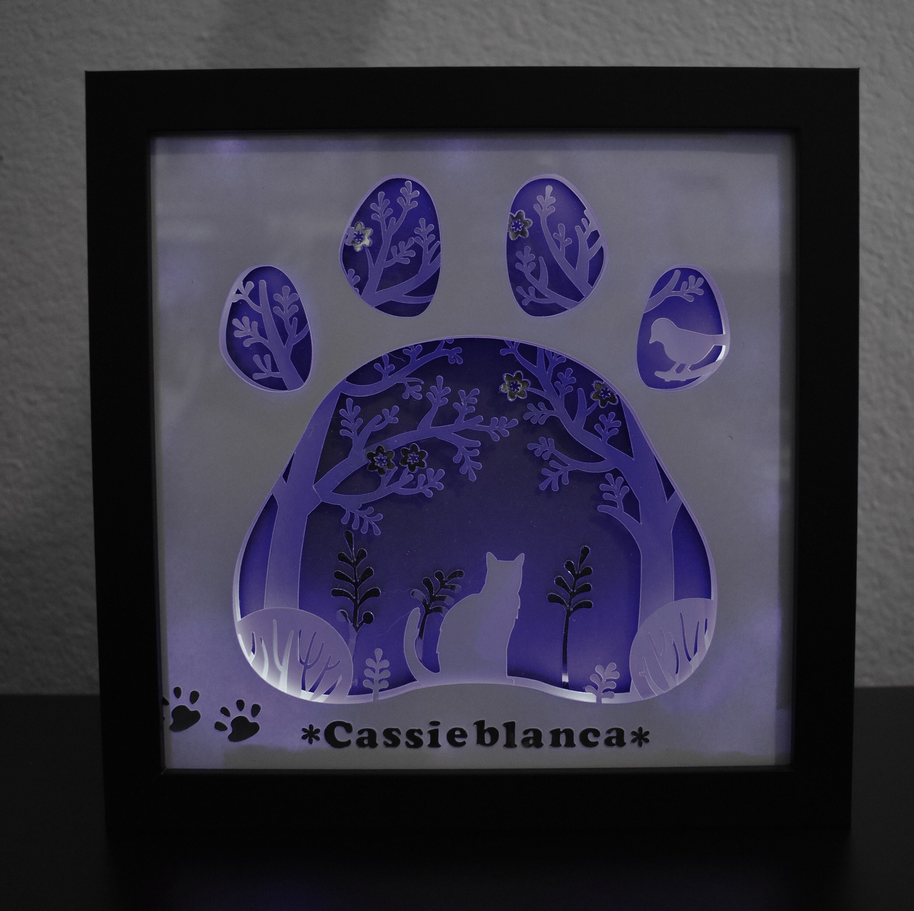 Pet Shadow Box Cat Shadow Box Pet Keepsake Pet Gift Custom Etsy