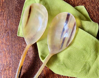 Antique Horn & Silver Serving Spoons ( Circa 1880-1910)
