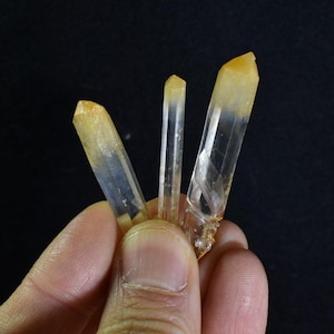 May include: Three clear quartz crystals with a yellow-orange tip. The crystals are pointed and have a translucent appearance.