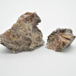 Könnte beinhalten: Zwei Stücke brauner Glimmer, ein natürliches Mineral, mit einer rauen, strukturierten Oberfläche. Der Glimmer ist in einem Sternmuster angeordnet.