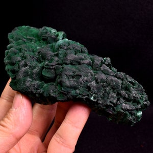 Yangchun Malachit Specimen - Botryoider Malachit - Samt Malachit - Hohe Qualität - 256 Gramm #02