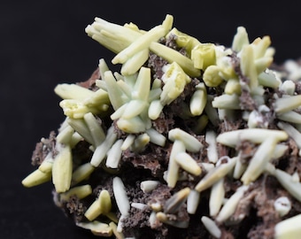 Raro grupo de plumbogummita - Mina Daoping, China. Pseudomorfos azul verdosos tras piromorfita - 40 gramos.