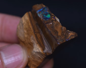May include: A rough, brown, and black opal with a blue and green iridescent flash.