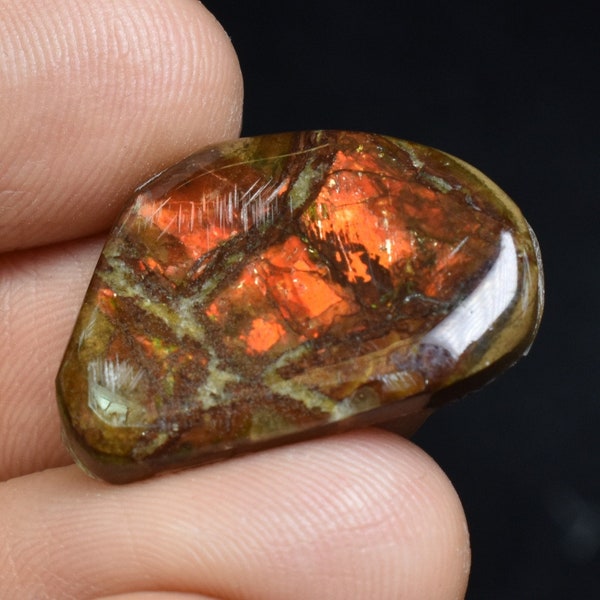 Canadian Natural Ammolite, Ammonite Freeform Polished Cabochon Specimen - 2.3cm x 1.5cm - 2.4 grams