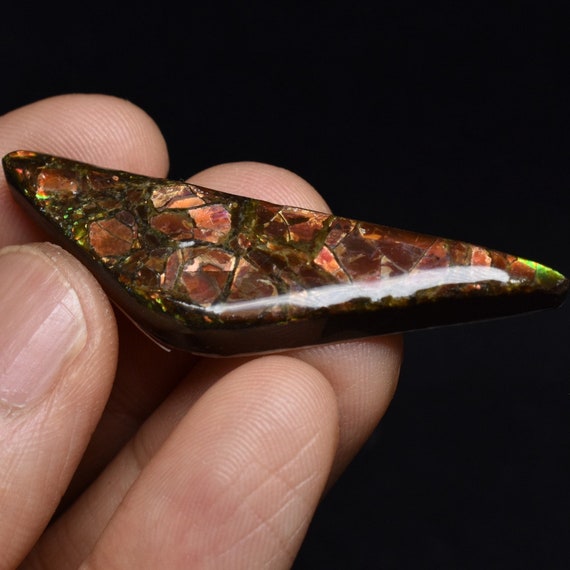 アンモライト 40x30mm フリーフォーム カボション　ジェム ルース カナダ Ammonite Rainbow カナダ産アンモライト宝石：天然フリーフォーム風水ペンダント - Etsy 日本