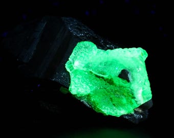 蛍光ハイアライトオパール - エロンゴ ナミビア 黄緑色蛍光ブドウ状 UV