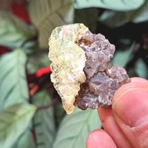 Fluorescent Hyalite Opal With Smoky Quartz - Mineral From Erongo Mountains, Namibia,  10 grams
