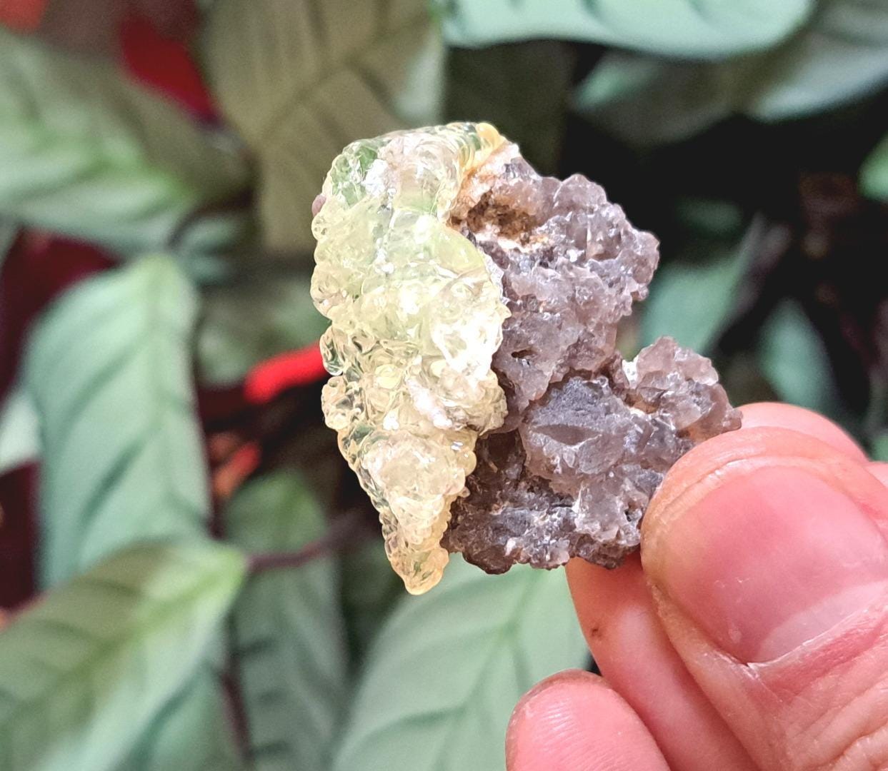 【ナミビア/エロンゴ産】スモーキークォーツ＆ハイアライトオパール 蛍光ハイアライトオパールとスモーキークォーツ - ナミビア