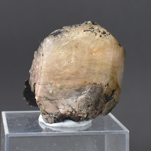 Phenakite, Phenacite VERY RARE Terminated Large Crystal Specimen From Brazil - 1 Count - 38 grams, 190 carats