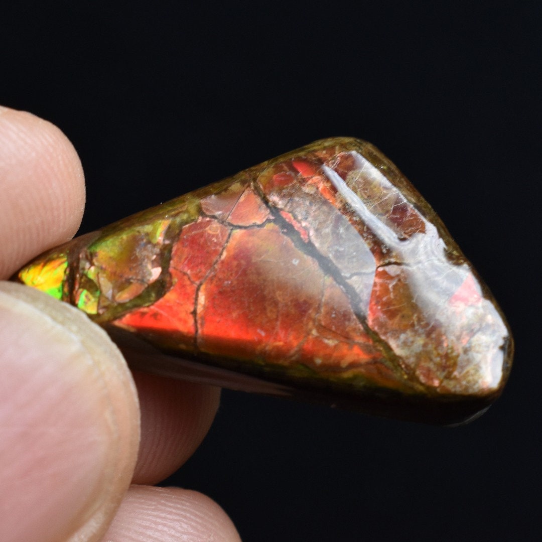 アンモライト標本7 カナダ産 鉱物標本 ルース アンモライト標本7