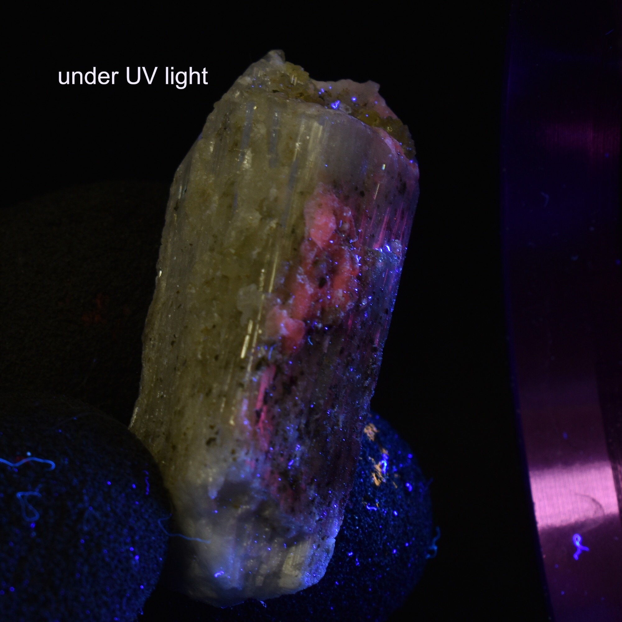 メキシコ産ダンビュライト（黄鉄鉱と方解石を含む）UV反応性結晶原石