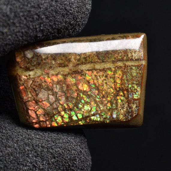 アンモライト 40x30mm フリーフォーム カボション　ジェム ルース カナダ Ammonite Rainbow カナダ産アンモライト宝石：天然フリーフォーム風水ペンダント - Etsy 日本