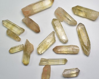 May include: A collection of 14 raw, natural, yellow-toned quartz crystal points. The crystals are various sizes and shapes, with some being longer and thinner than others. The crystals are arranged on a white surface.