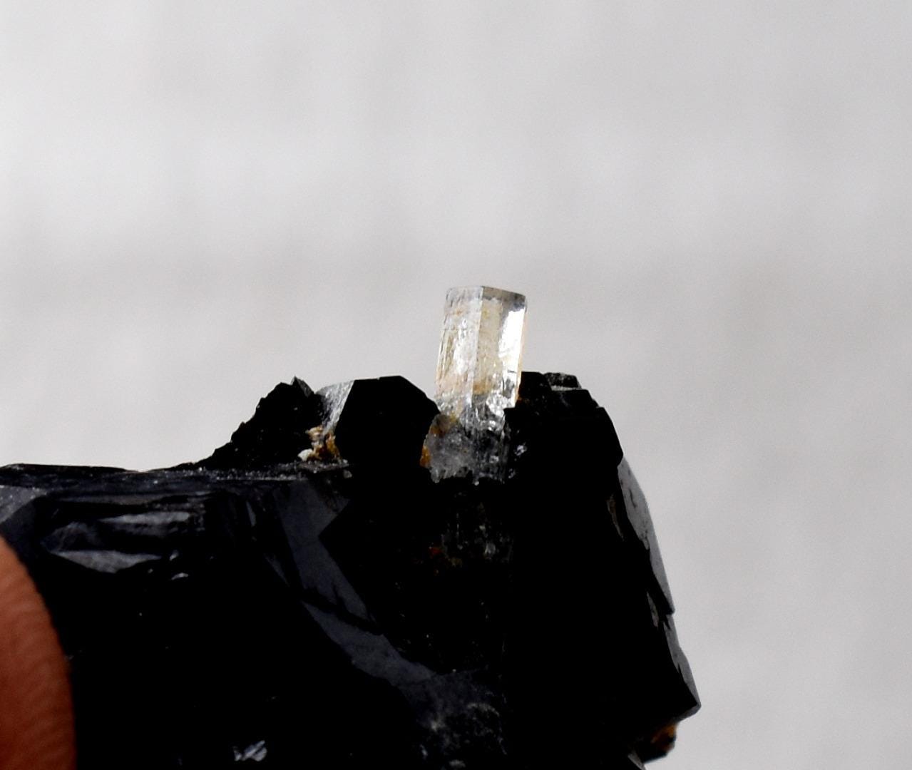 ナミビア、エロンゴ山脈産、ショールブラックトルマリン入りベリル変種