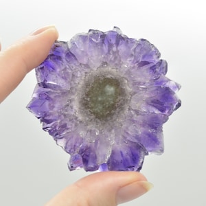 Amethyst Crystal Stalactite Slices from Brazil - Lot 5 - 5 options
