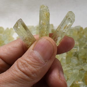 Heliodor Raw Green Yellow Beryl Small Crystal Specimens - 1 Count - 3 Sizes