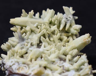 Raro grupo de plumbogummita - Mina Daoping, China, pseudomorfos azul verdosos tras piromorfita - 11 gramos