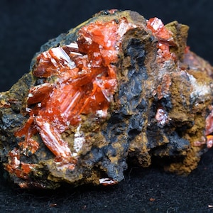 Könnte beinhalten: Ein Cluster aus leuchtend orangefarbenen Kristallen auf einem dunkelbraunen Gestein. Die Kristalle sind scharf und spitz und in einem zufälligen Muster angeordnet. Das Gestein ist rau und strukturiert.