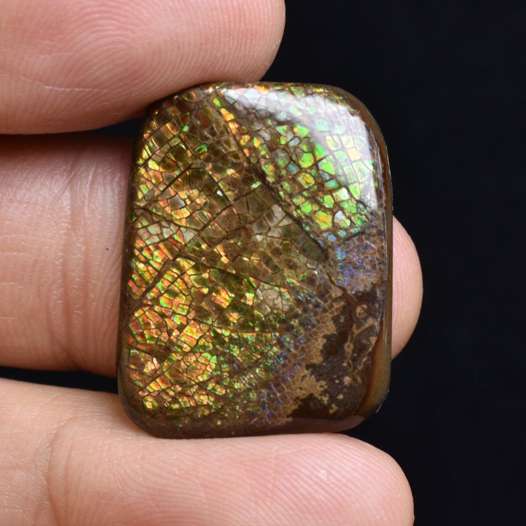 アンモライト 40x30mm フリーフォーム カボション　ジェム ルース カナダ Ammonite Rainbow カナダ産アンモライト宝石：天然フリーフォーム風水ペンダント - Etsy 日本