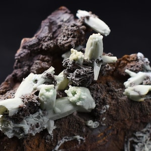 May include: A detailed image of a mineral specimen. It shows clusters of pale green and white crystals on a dark brown, textured rock base. The composition highlights the natural beauty and intricate details of the mineral formations.