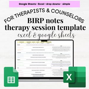 BIRP Therapy Progress Notes Template, Therapy Session Notes Template, Progress Note Therapist, Therapist Progress Note Template Therapists