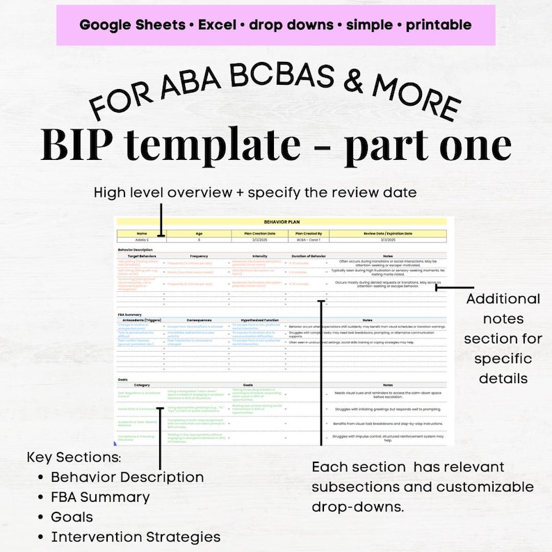 Behavior Plan Template, Behavior Planning, Behavioral Plan, Behavioral ...