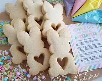 Hoppy Easter DIY Cookie Kit | Decorate Your Own Sugar Cookies | Easter Bunny Rabbit Peeps Pastel Spring Sprinkles | Craft Fun Kids Activity