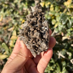 Dog Tooth Calcite Specimen from Mexico | No. 1