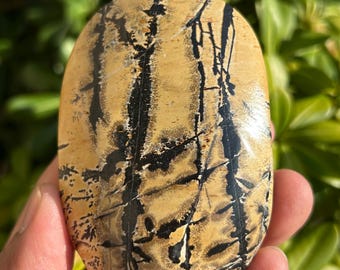 Gorgeous Picture Jasper Palmstone | Picture Jasper Carving| Picture Jasper Crystal | No.1