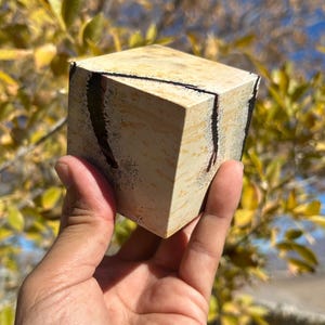 May include: A square, beige wooden block with dark accents and a black line across the top. The block has a textured appearance and is held in a hand against a blurred background of yellow and green foliage.