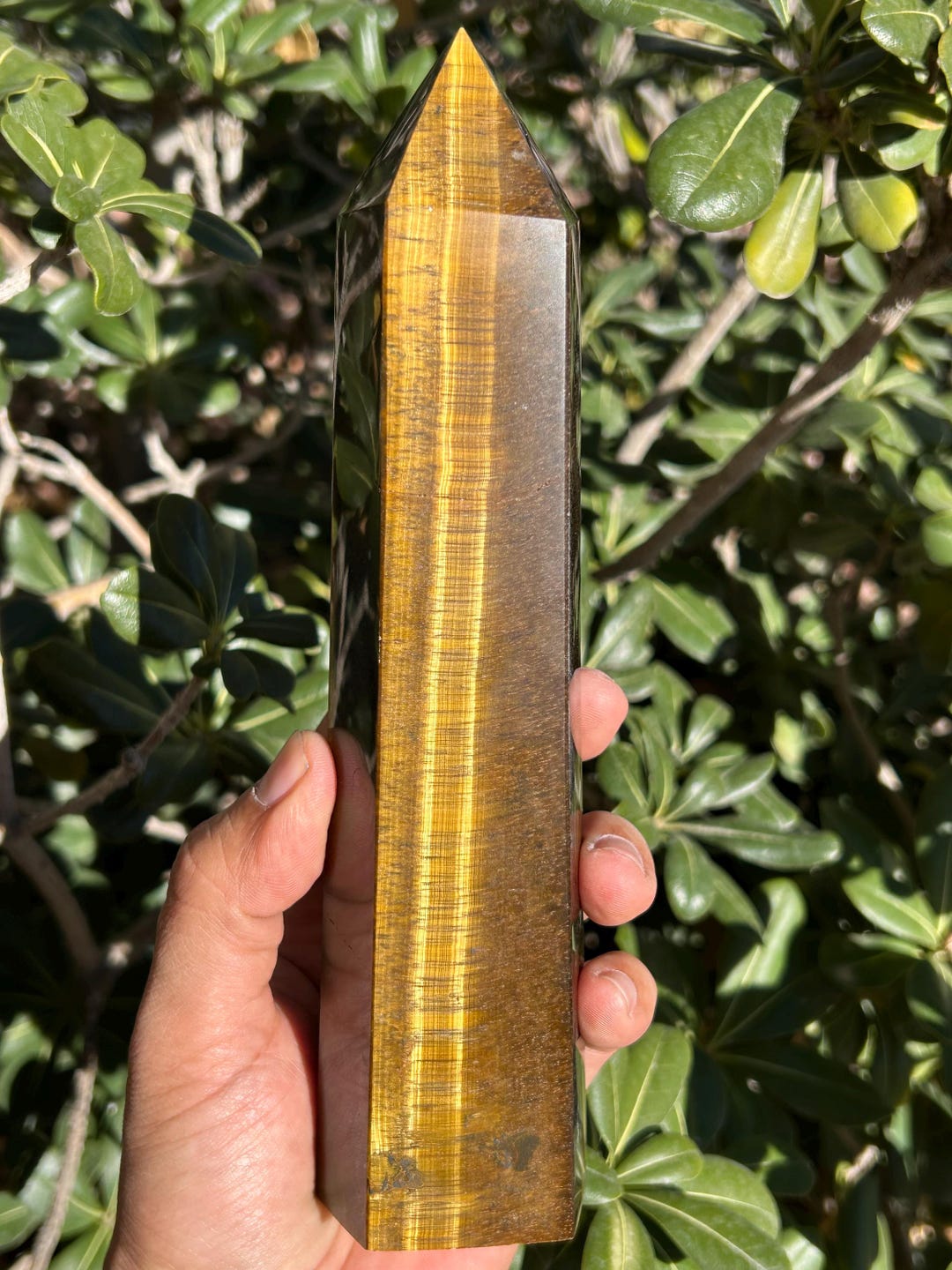 8-inch-tigers-eye-tower-tigers-eye-crystal-tigers-eye-large-tower