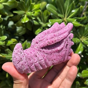 Honey Comb Ruby | Ruby Dragon Carving | UV Reactive Ruby | Ruby Carving