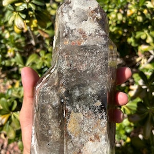 Huge Garden Quartz Tower | 3 Pounds Garden Quartz | 8 inch Tower | Garden Quartz Crystal | Statement Tower | Garden Quartz Carving