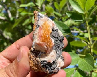 Rare Orange Barite, Cerussite & Galena from Morocco Specimen