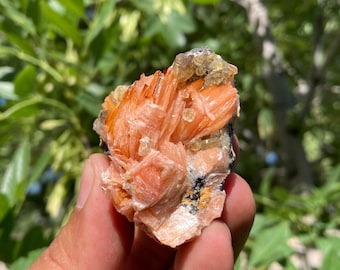 Rare Orange Barite, Cerussite & Galena from Morocco Specimen