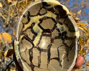 Septarian Bowl | High Quality Septarian  | UV Reactive Septarian | Stone of Dragons | No. 5