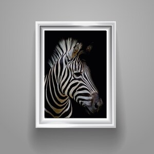 Zebra poster print home wall art decor animals