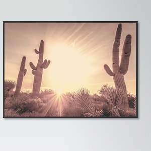 Kakteen auf Wüstenposter Druck home Wand Kunst Dekor Pflanzen Sonnenuntergang modernes Design