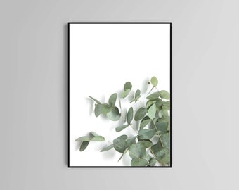 Eucalyptus poster print home wall art decor modern flower home accessories