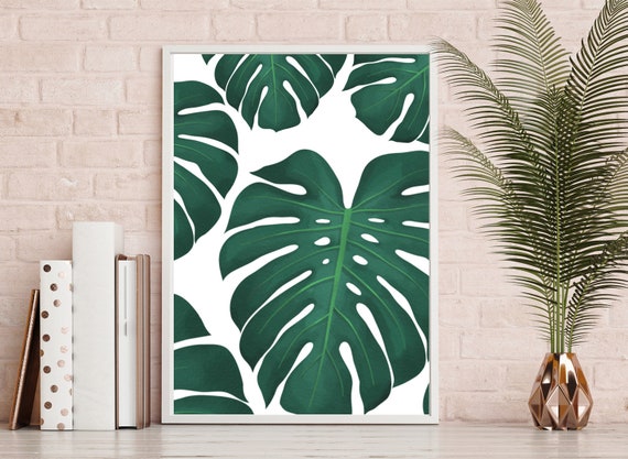 heart philodendron Heartleaf Philodendron main image 1