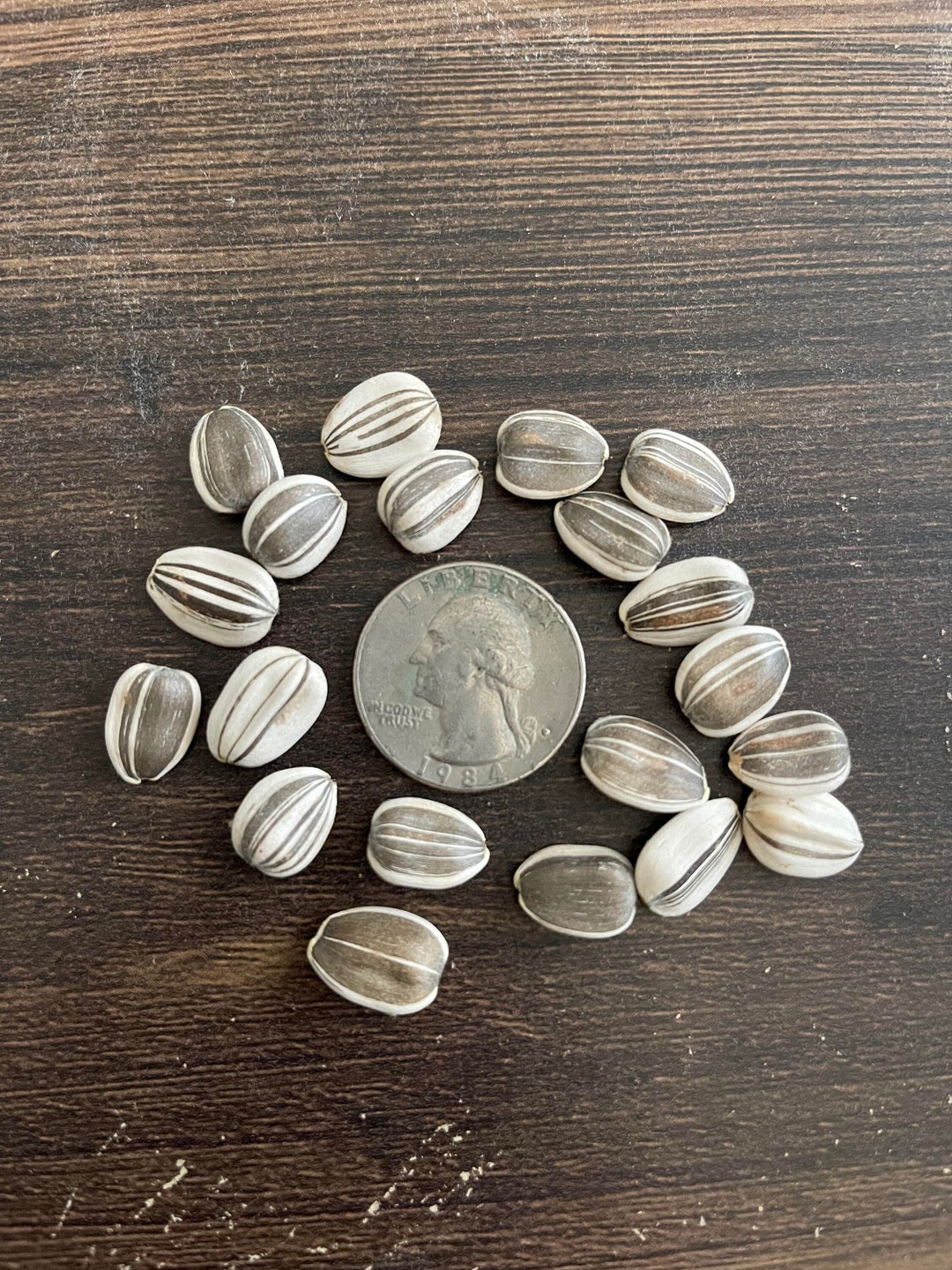 Sunflower Seeds for Planting, Skyscraper, Homegrown by Treasure Farmer