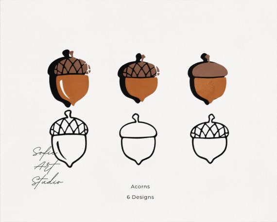 Two acorns on white background Royalty Free Vector Image