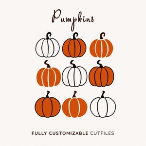 Pumpkin Svg | Premium Pumpkin Clipart for Commercial Use | Fall Svg | Autumn Svg | Fall Pumpkin Svg Files for Files for Silhouette | DXF EPS