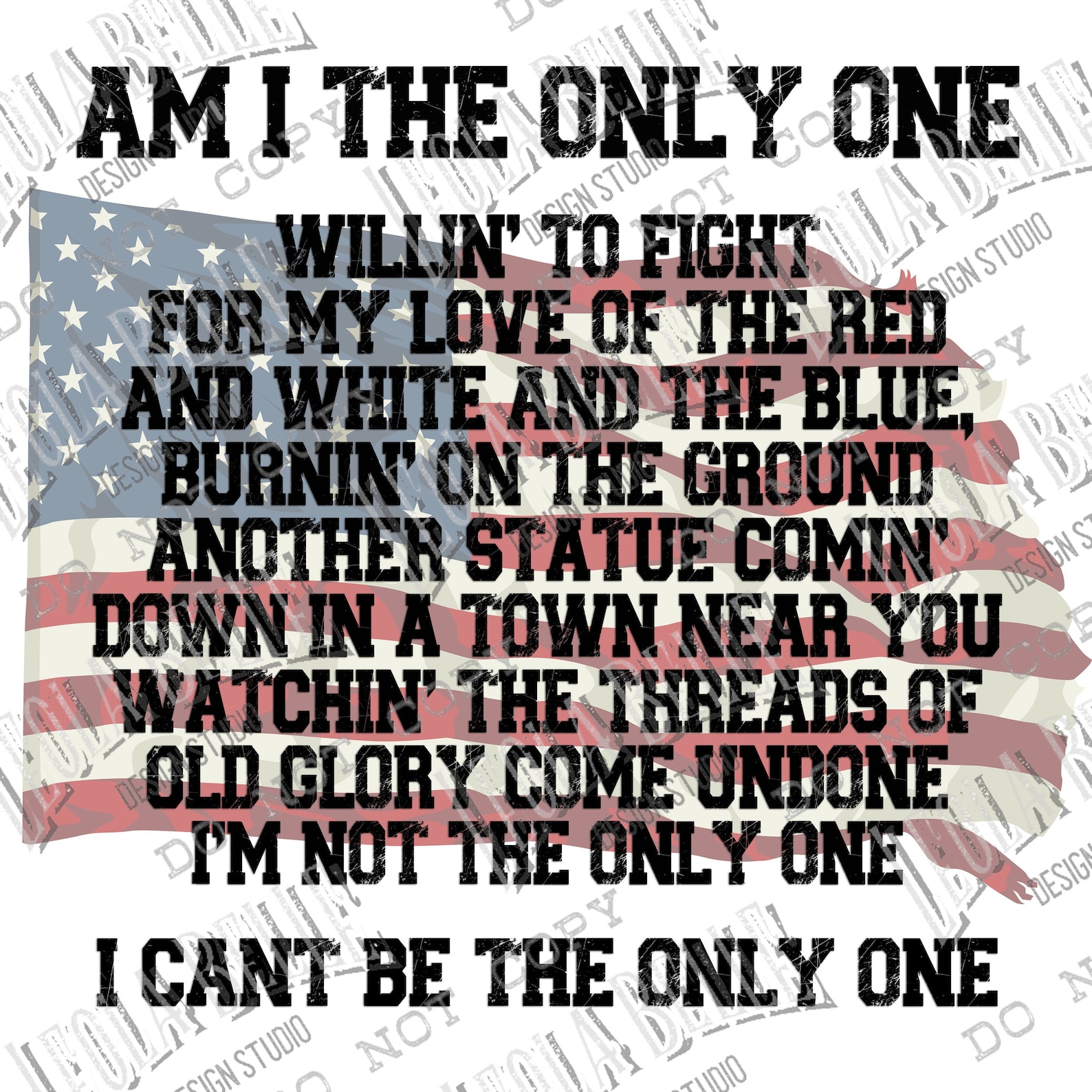 Am I The Only One Aaron Lewis Lyrics Patriotic - Etsy