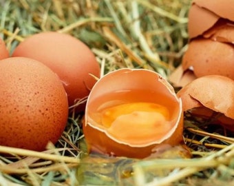 Alle Love eggs zusammengefasst
